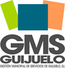 Logo GMS